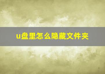 u盘里怎么隐藏文件夹