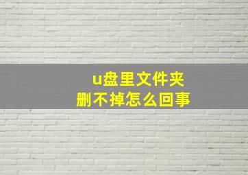 u盘里文件夹删不掉怎么回事