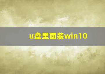 u盘里面装win10