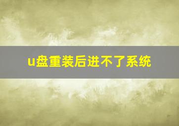 u盘重装后进不了系统