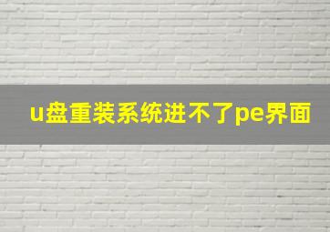 u盘重装系统进不了pe界面