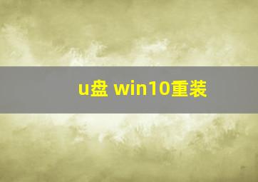 u盘 win10重装