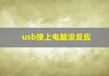 usb接上电脑没反应