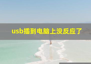 usb插到电脑上没反应了