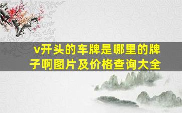 v开头的车牌是哪里的牌子啊图片及价格查询大全