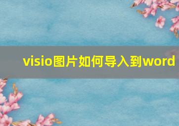 visio图片如何导入到word