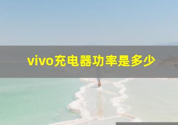 vivo充电器功率是多少