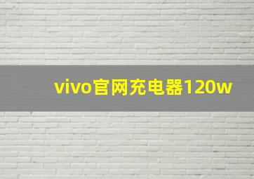 vivo官网充电器120w