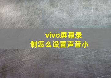 vivo屏幕录制怎么设置声音小