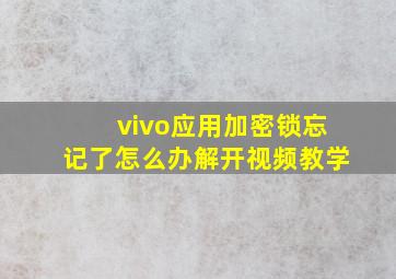 vivo应用加密锁忘记了怎么办解开视频教学