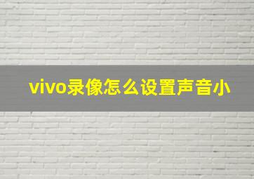 vivo录像怎么设置声音小