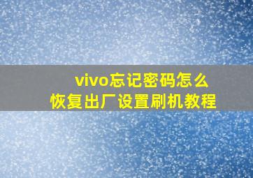 vivo忘记密码怎么恢复出厂设置刷机教程