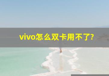 vivo怎么双卡用不了?