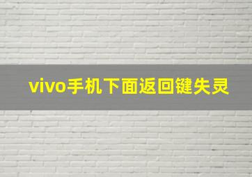 vivo手机下面返回键失灵