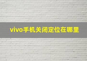 vivo手机关闭定位在哪里