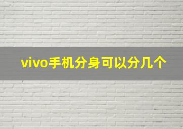 vivo手机分身可以分几个