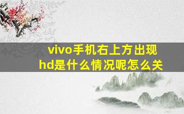 vivo手机右上方出现hd是什么情况呢怎么关