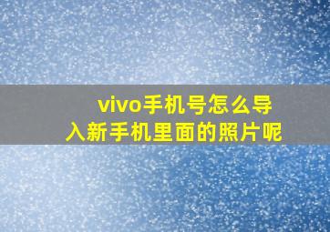 vivo手机号怎么导入新手机里面的照片呢