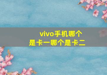 vivo手机哪个是卡一哪个是卡二