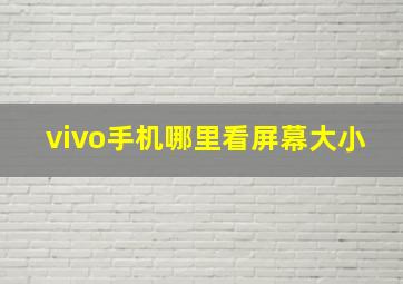 vivo手机哪里看屏幕大小