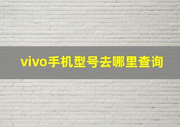 vivo手机型号去哪里查询