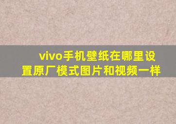 vivo手机壁纸在哪里设置原厂模式图片和视频一样