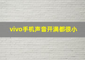 vivo手机声音开满都很小