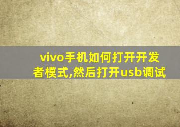 vivo手机如何打开开发者模式,然后打开usb调试