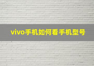 vivo手机如何看手机型号