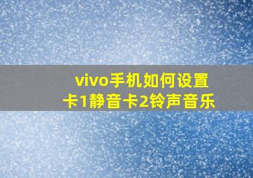 vivo手机如何设置卡1静音卡2铃声音乐