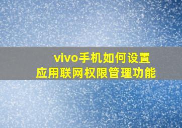 vivo手机如何设置应用联网权限管理功能