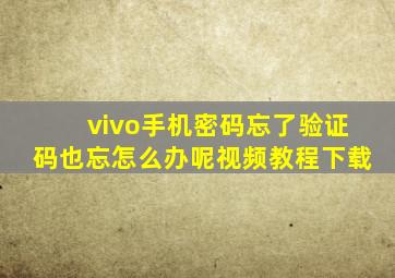 vivo手机密码忘了验证码也忘怎么办呢视频教程下载