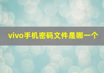 vivo手机密码文件是哪一个