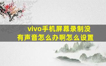 vivo手机屏幕录制没有声音怎么办啊怎么设置