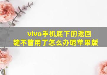 vivo手机底下的返回键不管用了怎么办呢苹果版