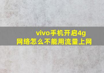 vivo手机开启4g网络怎么不能用流量上网