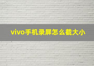 vivo手机录屏怎么截大小