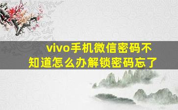 vivo手机微信密码不知道怎么办解锁密码忘了