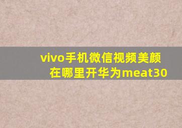 vivo手机微信视频美颜在哪里开华为meat30