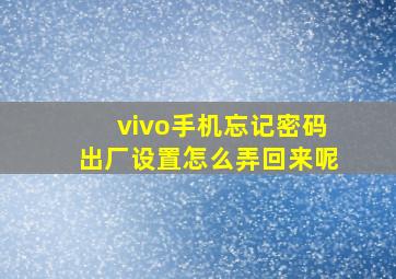 vivo手机忘记密码出厂设置怎么弄回来呢