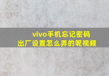 vivo手机忘记密码出厂设置怎么弄的呢视频