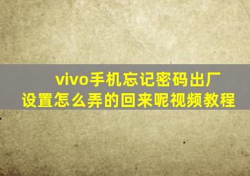 vivo手机忘记密码出厂设置怎么弄的回来呢视频教程