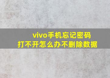 vivo手机忘记密码打不开怎么办不删除数据