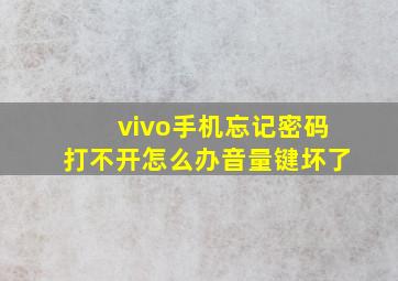 vivo手机忘记密码打不开怎么办音量键坏了