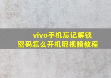 vivo手机忘记解锁密码怎么开机呢视频教程