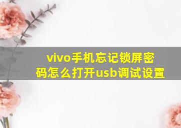 vivo手机忘记锁屏密码怎么打开usb调试设置