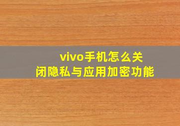 vivo手机怎么关闭隐私与应用加密功能