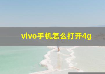 vivo手机怎么打开4g