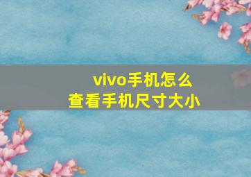 vivo手机怎么查看手机尺寸大小