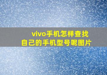 vivo手机怎样查找自己的手机型号呢图片